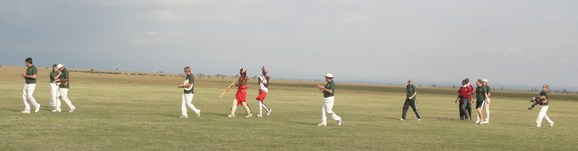 Maasai cricket 539